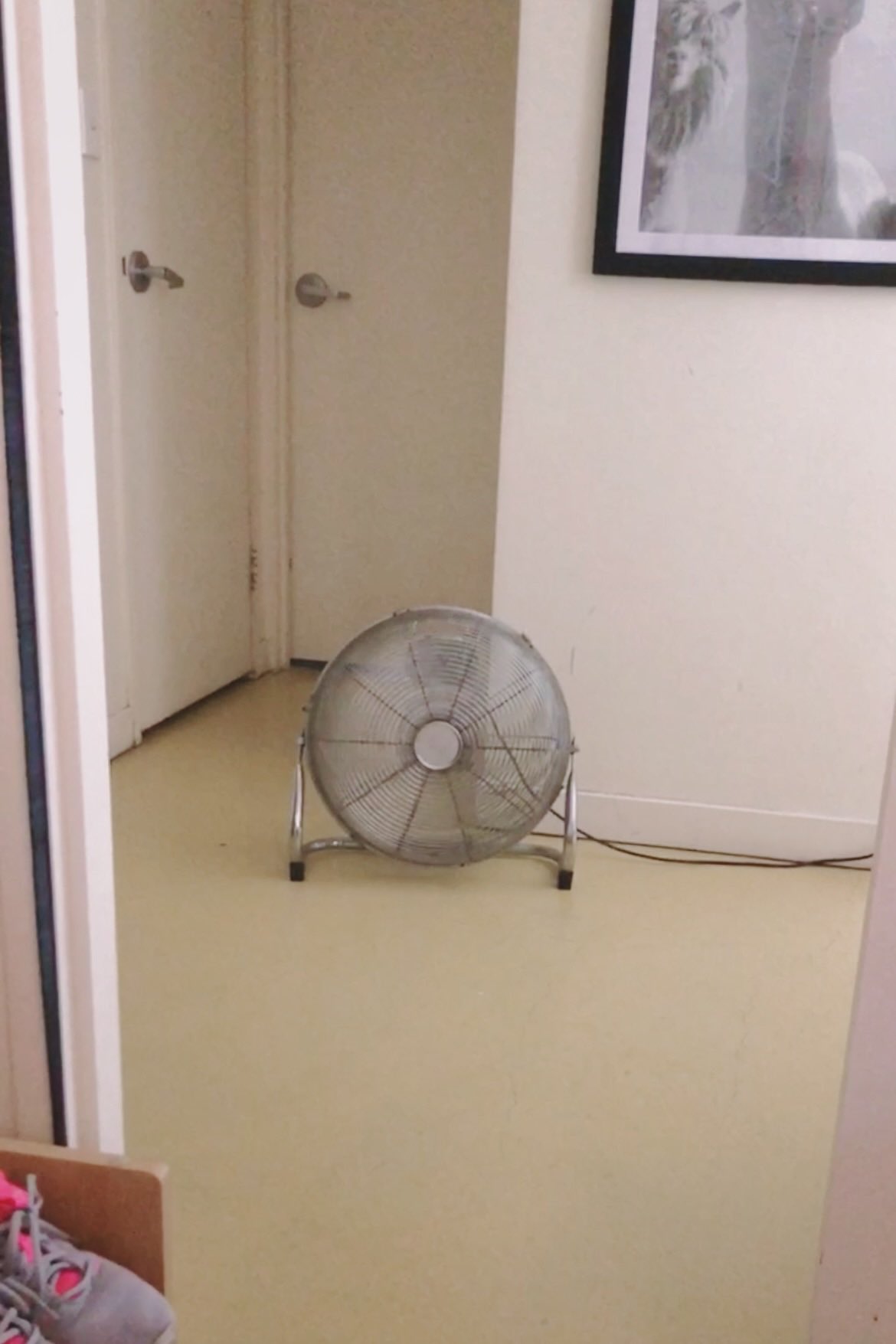 扇風機の写真